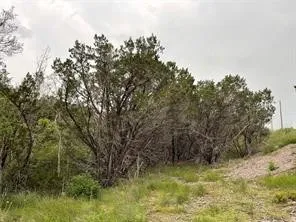 1083 Cedar Hill Drive Nemo, TX 76070