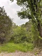 1083 Cedar Hill Drive Nemo, TX 76070