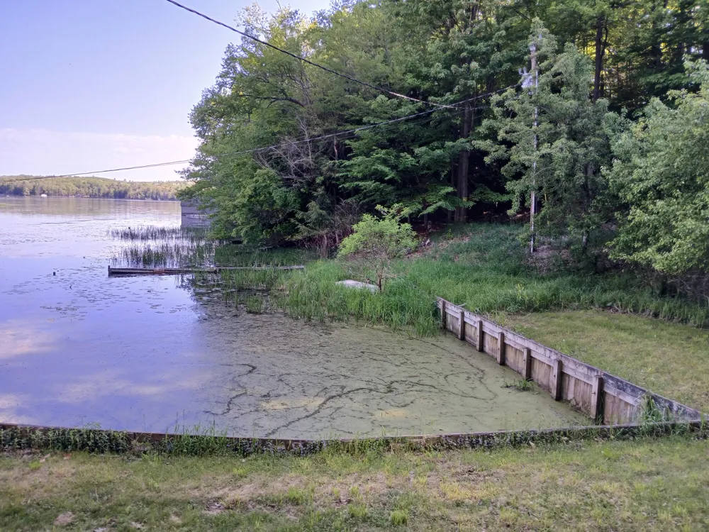 6149 Loggers Lane Hamlin Township, MI 49431