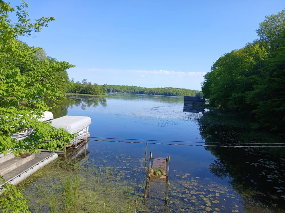 6149 Loggers Lane Hamlin Township, MI 49431