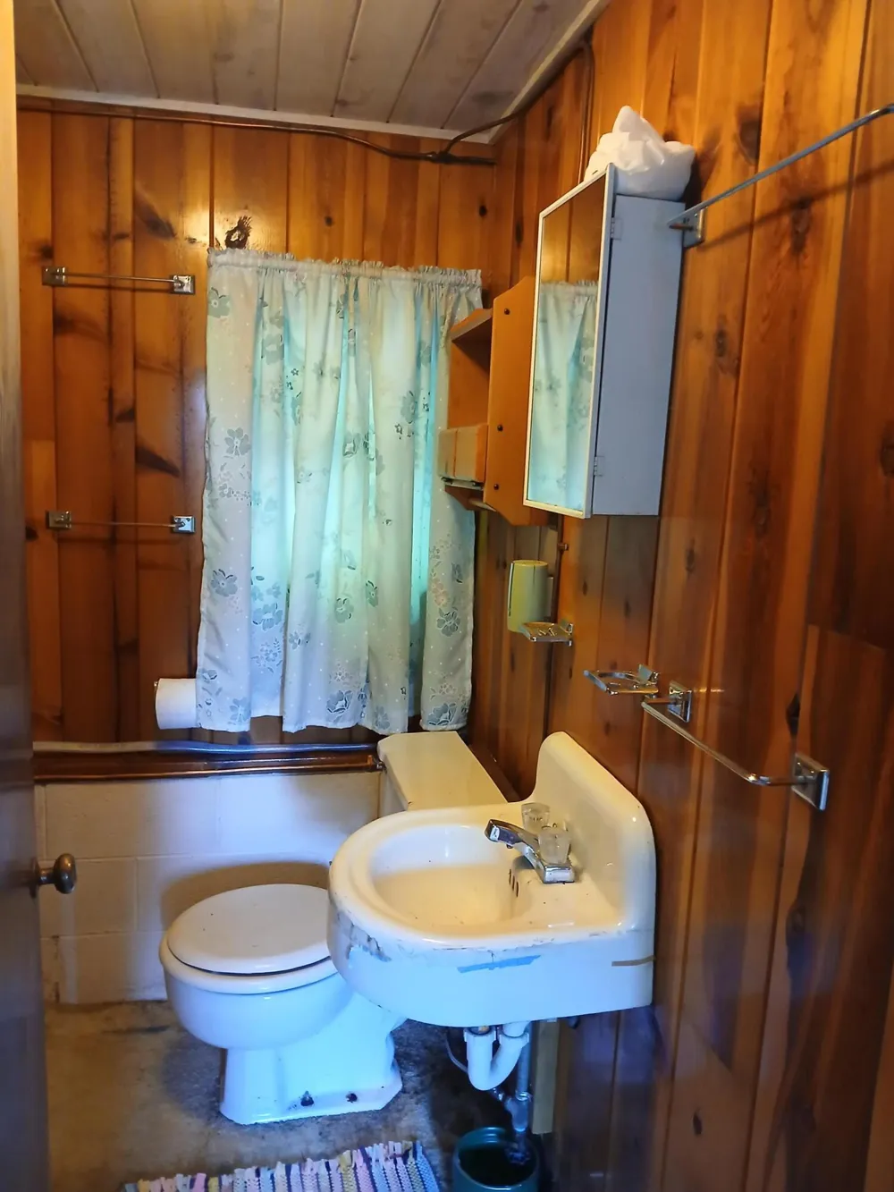 6149 Loggers Lane Hamlin Township, MI 49431