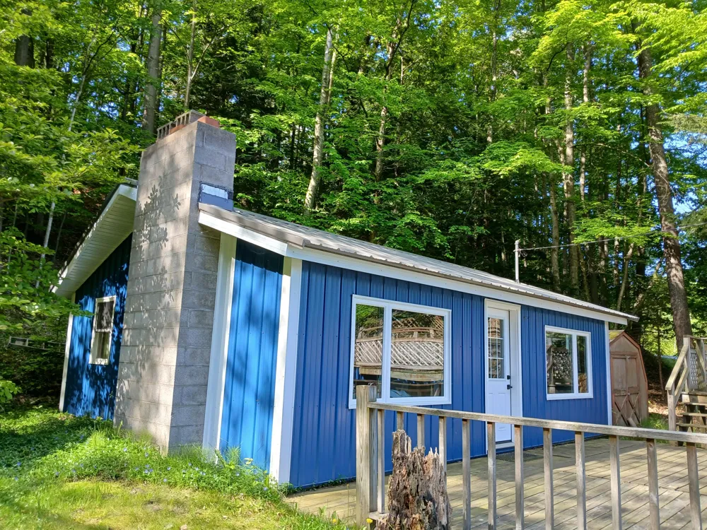 6149 Loggers Lane Hamlin Township, MI 49431