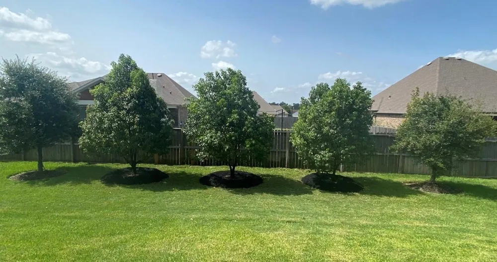 6014 Henry Hamlet Drive Conroe, TX 77304