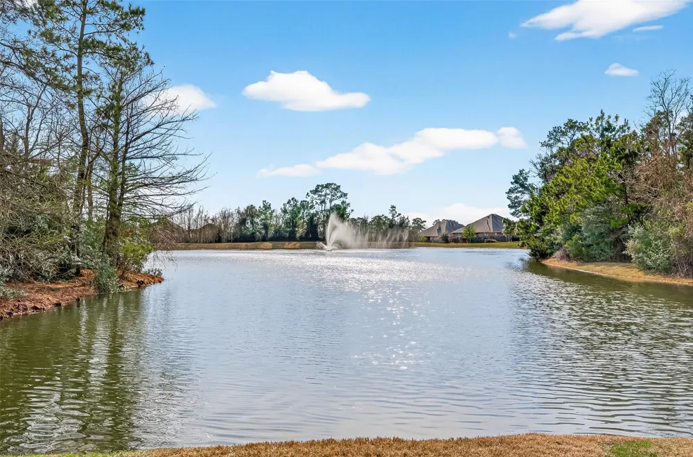 6014 Henry Hamlet Drive Conroe, TX 77304