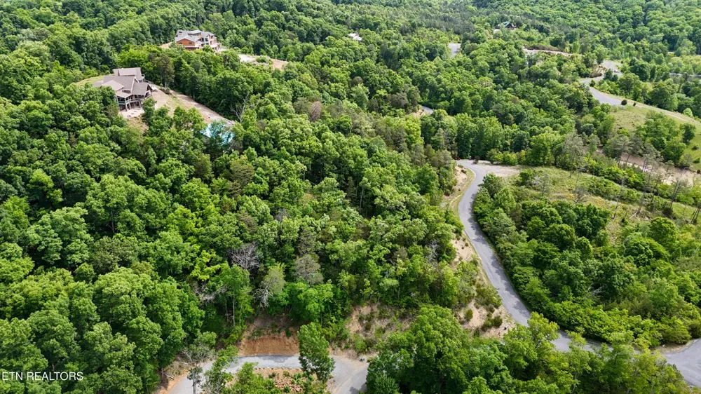 79 Stone Bridge Drive Dandridge, TN 37725