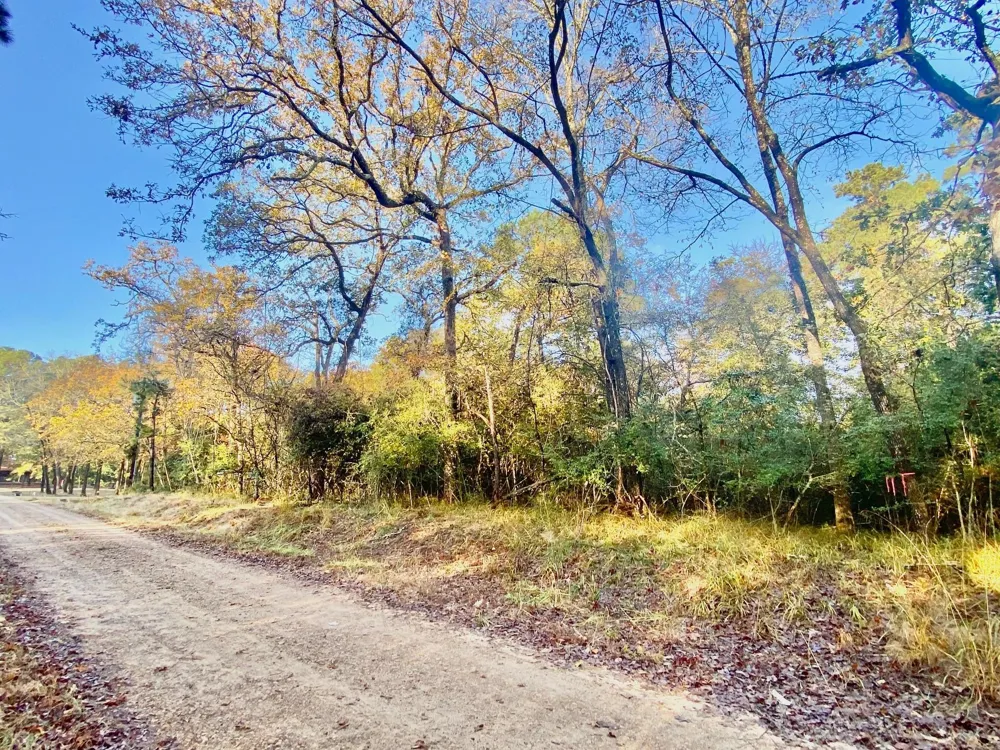 Lakeview Circle Crockett, TX 75835