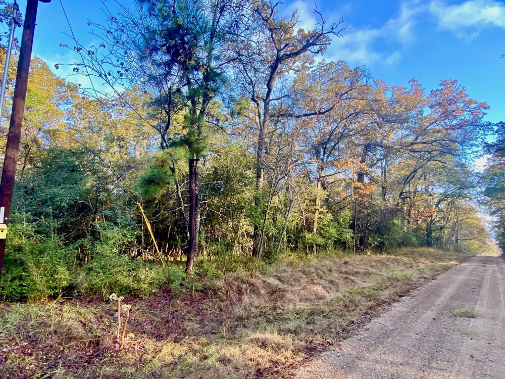 Lakeview Circle Crockett, TX 75835