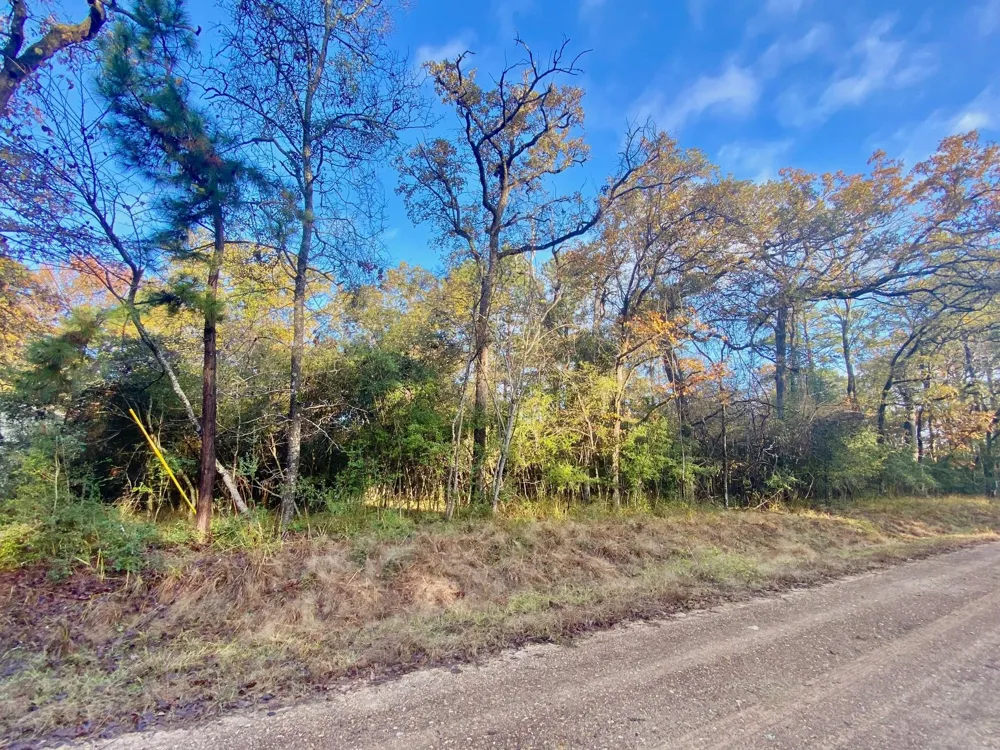 Lakeview Circle Crockett, TX 75835
