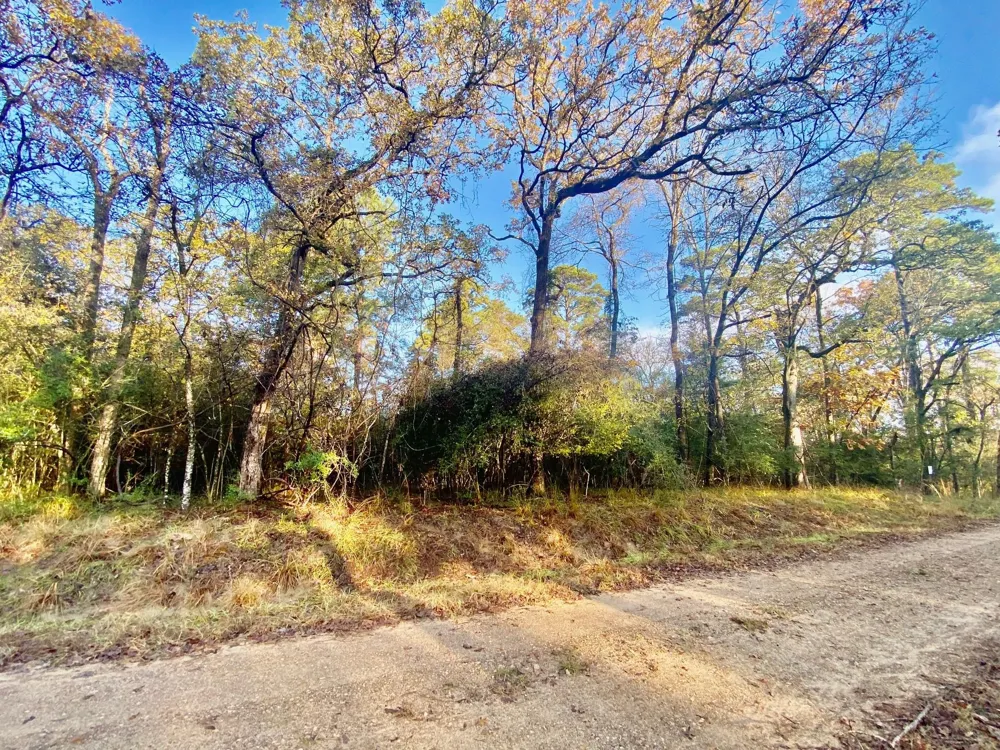 Lakeview Circle Crockett, TX 75835