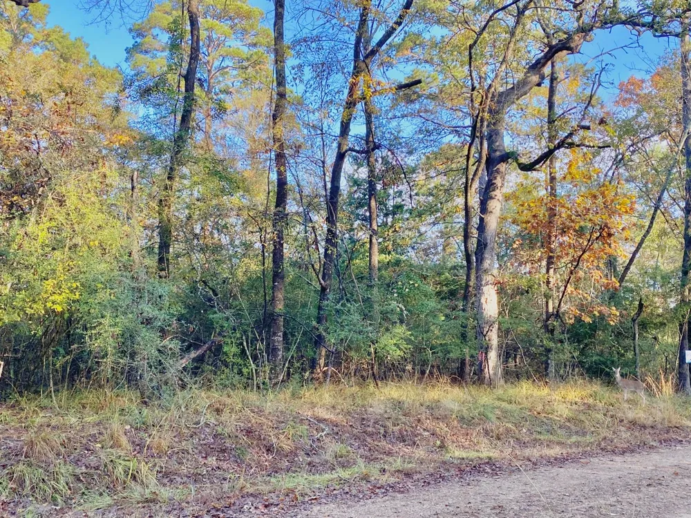 Lakeview Circle Crockett, TX 75835