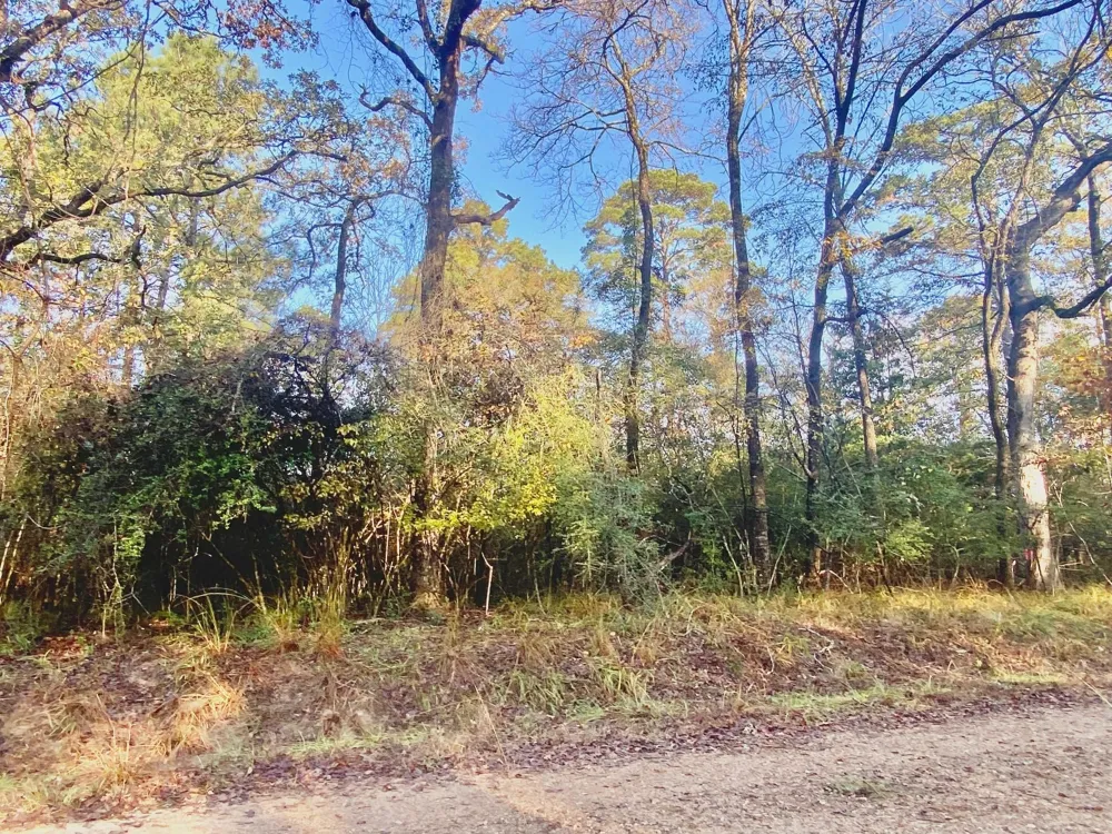 Lakeview Circle Crockett, TX 75835