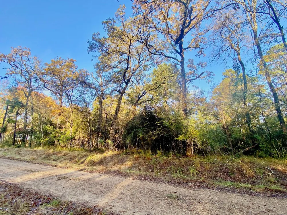 Lakeview Circle Crockett, TX 75835