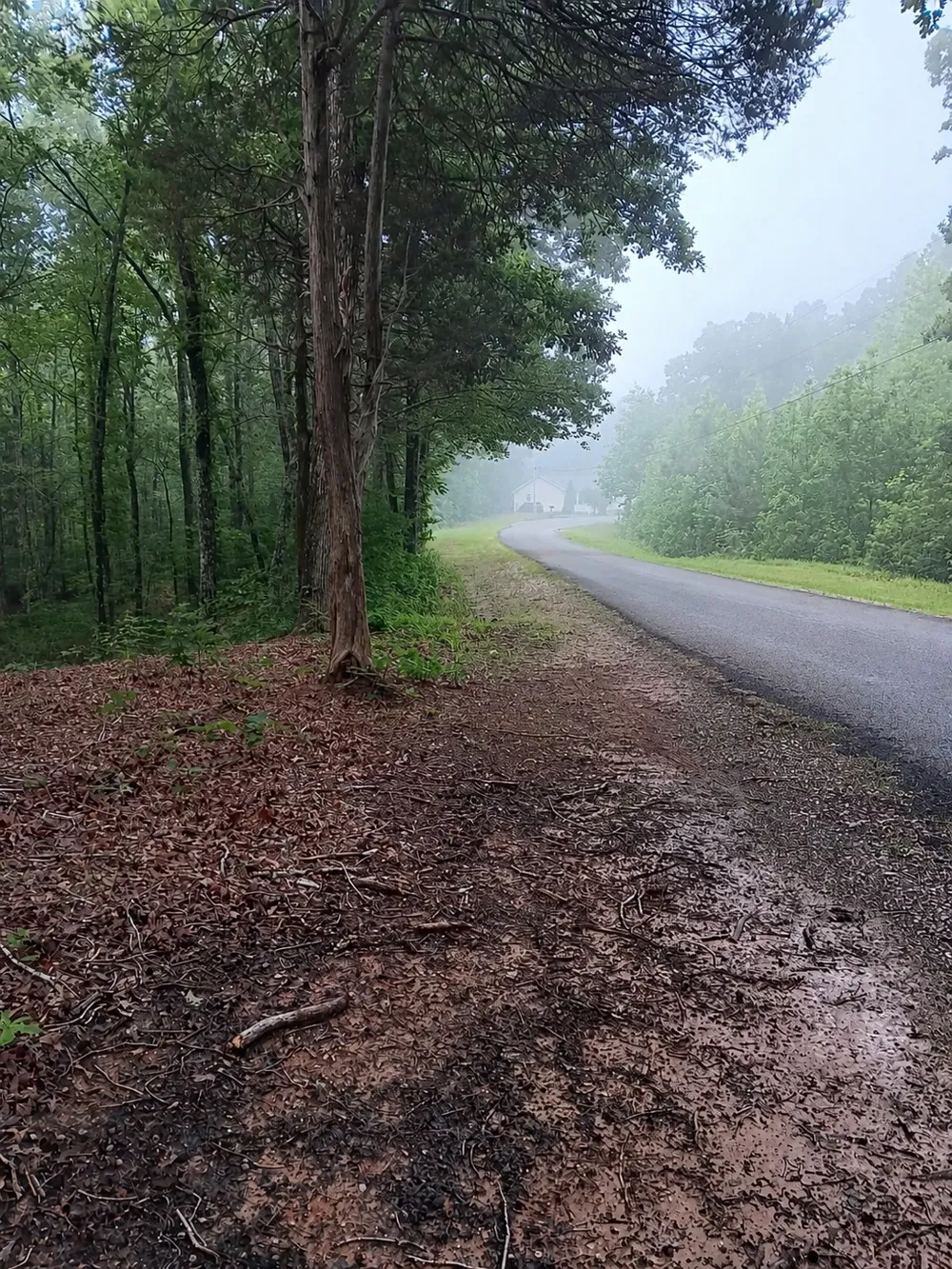 0 logger lane Cedar Grove, TN 38321