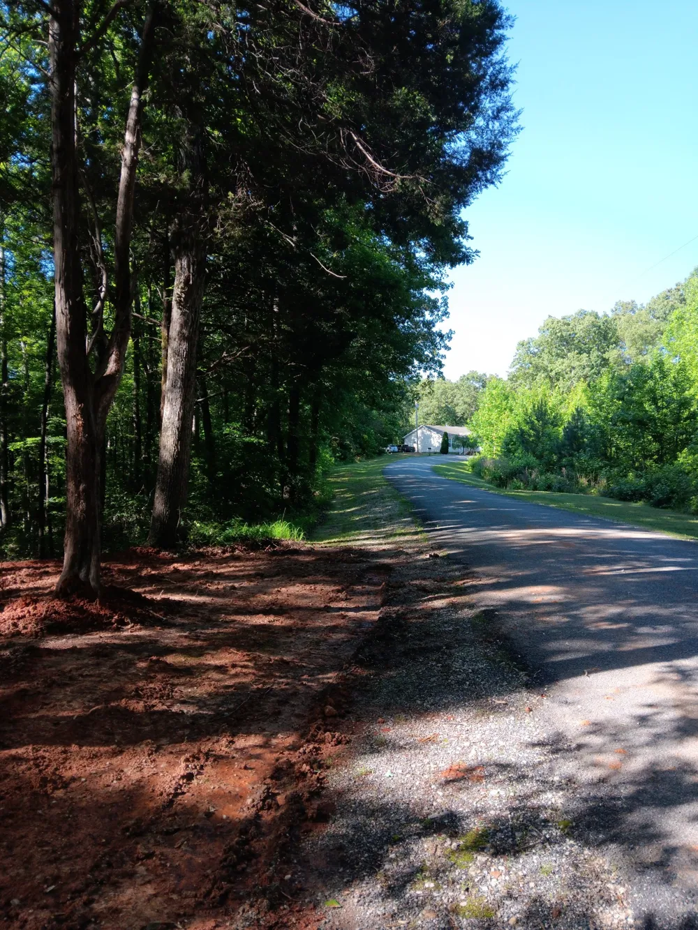 0 logger lane Cedar Grove, TN 38321