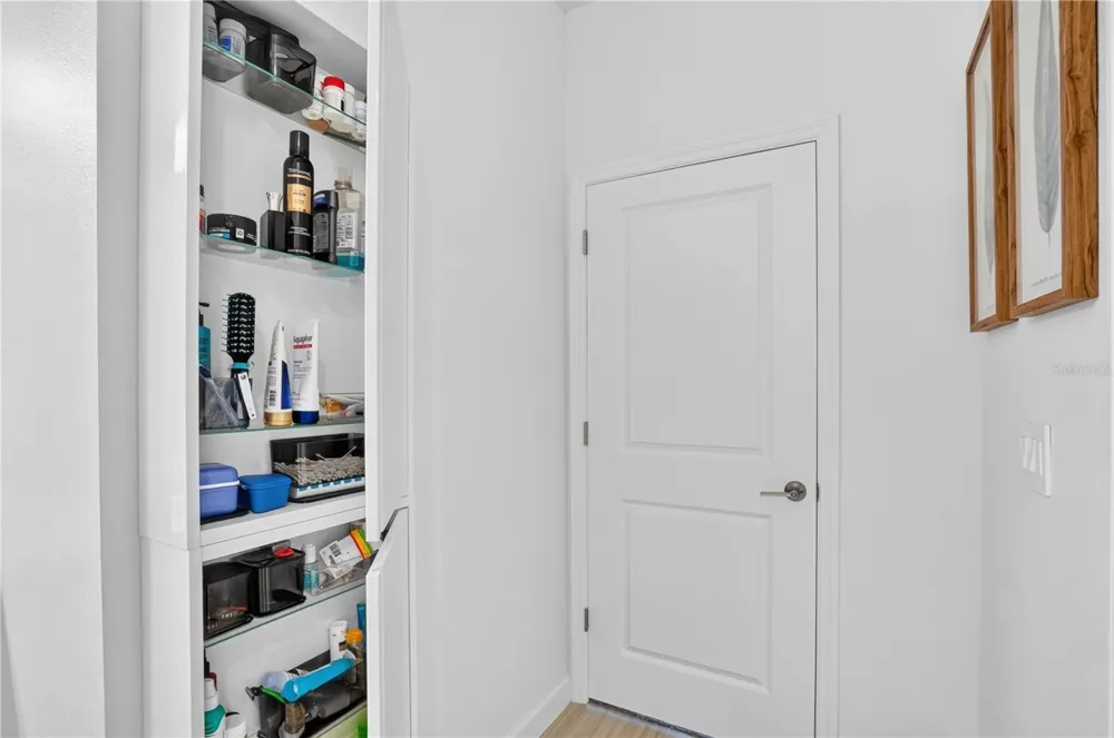 12617 LILY QUARTZ LOOP Parrish, FL 34219