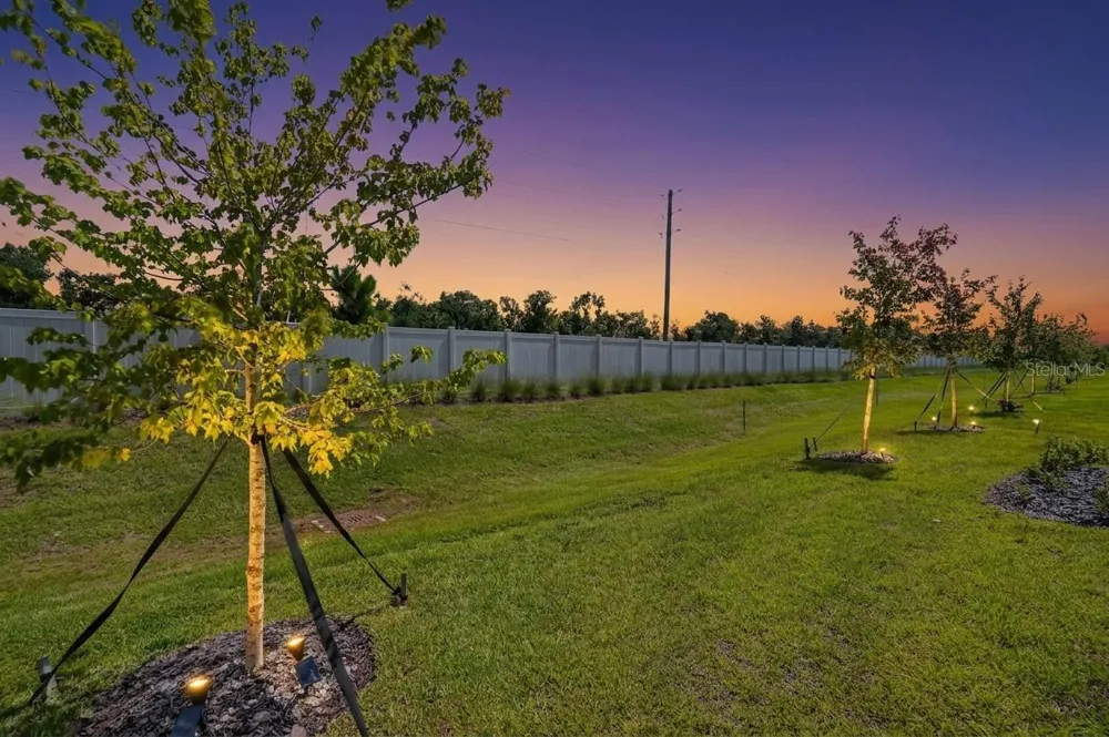 12617 LILY QUARTZ LOOP Parrish, FL 34219
