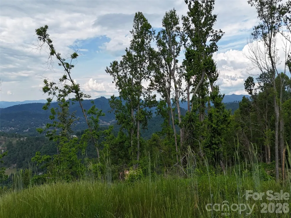 566 Elk Mountain Scenic Highway Asheville, NC 28804