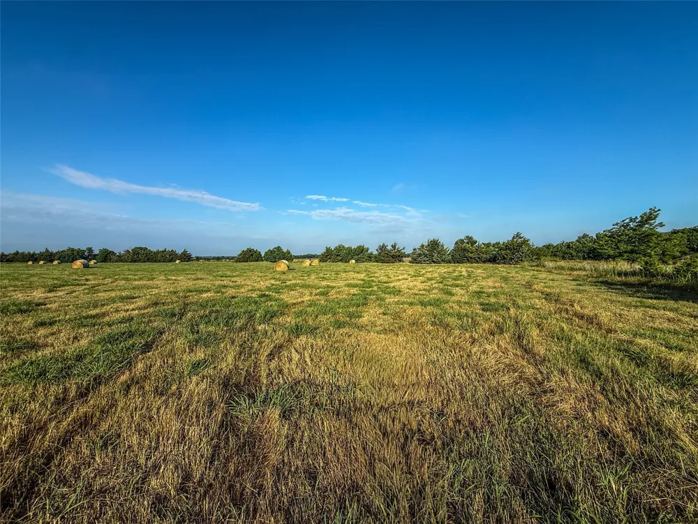 County Road 3444 Honey Grove, TX 75446