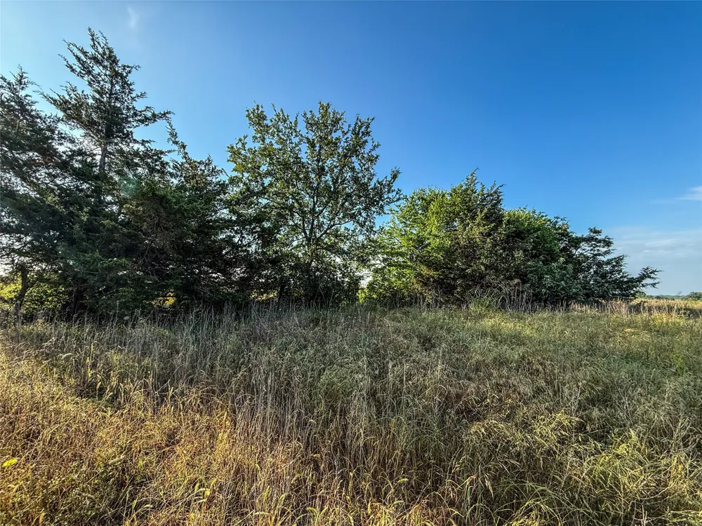 County Road 3444 Honey Grove, TX 75446