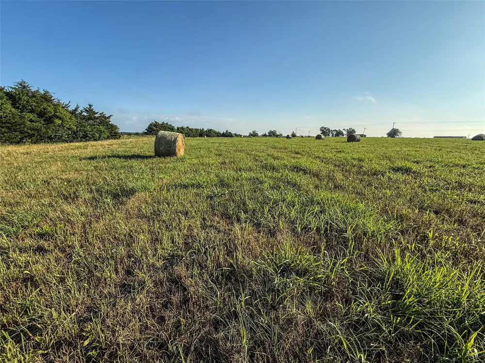County Road 3444 Honey Grove, TX 75446