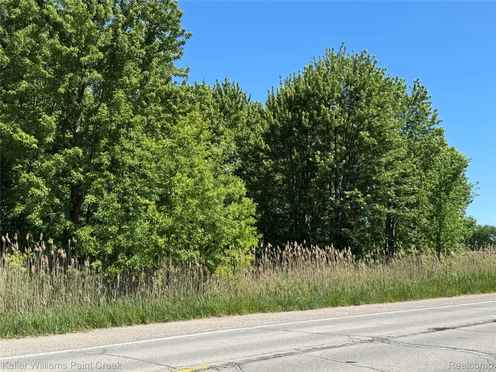 North Avenue Macomb Township, MI 48042