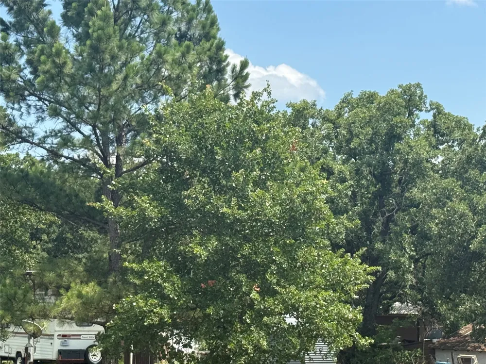 2923 Millsap Highway Mineral Wells, TX 76067