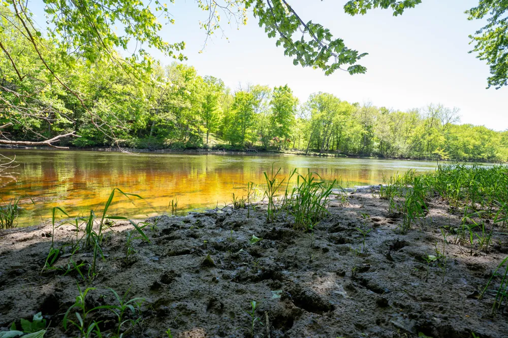 4658 W Fern Glen Ashland Township, MI 49412