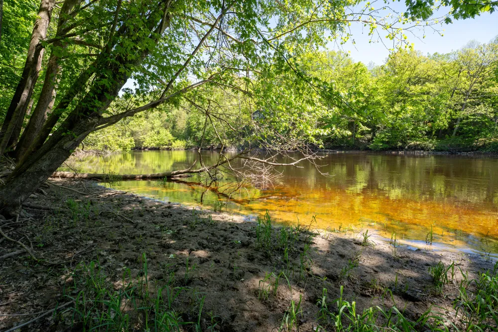 4658 W Fern Glen Ashland Township, MI 49412