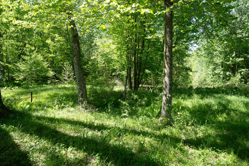 4658 W Fern Glen Ashland Township, MI 49412