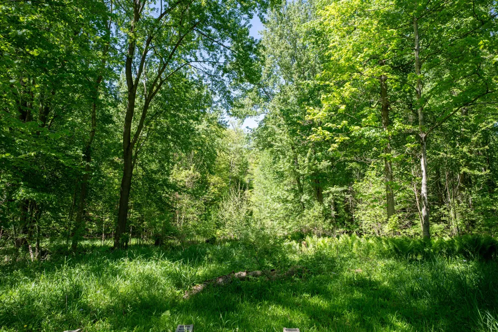 4658 W Fern Glen Ashland Township, MI 49412