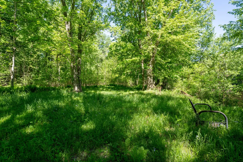 4658 W Fern Glen Ashland Township, MI 49412