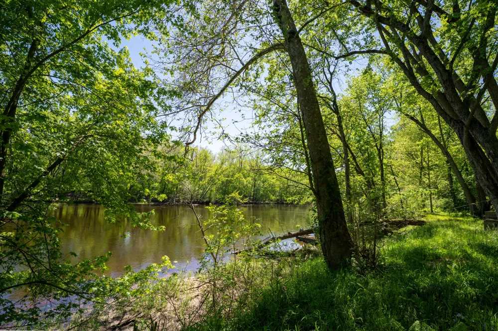 4658 W Fern Glen Ashland Township, MI 49412