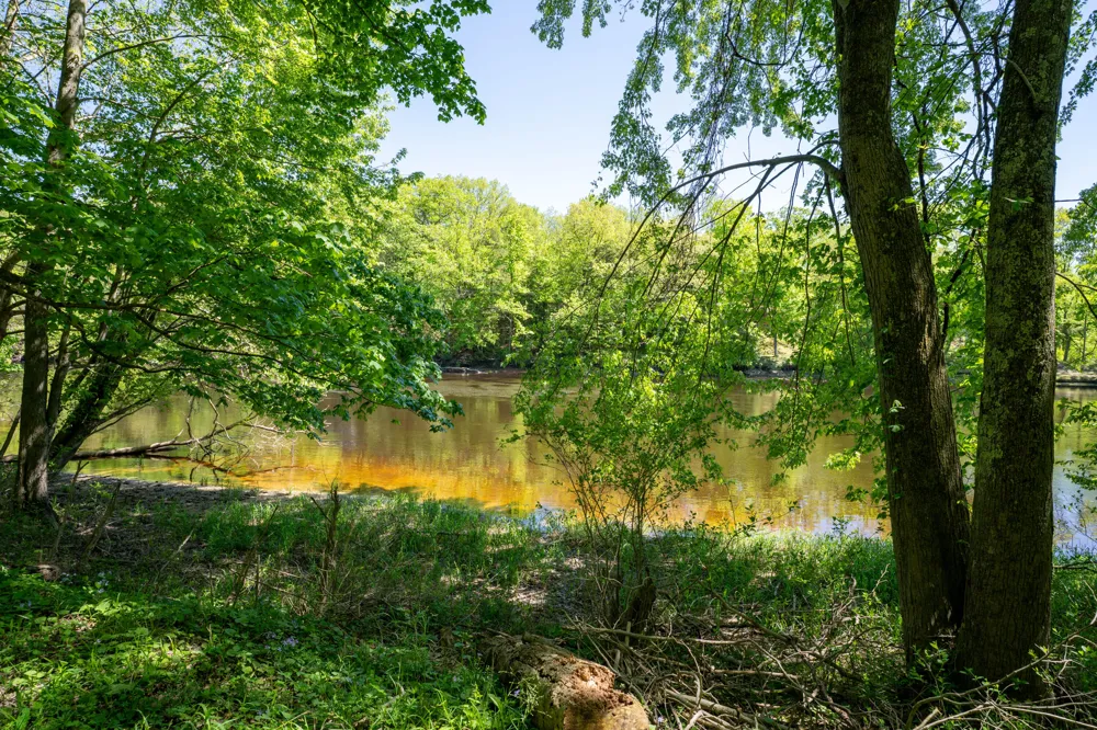 4658 W Fern Glen Ashland Township, MI 49412