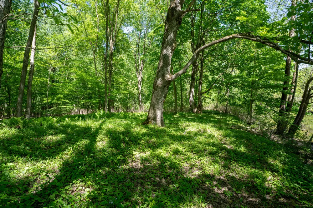 4658 W Fern Glen Ashland Township, MI 49412