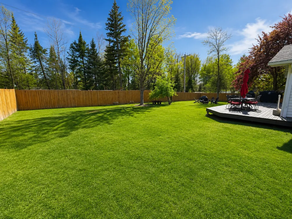 202 Ash Street Bigfork, MN 56628