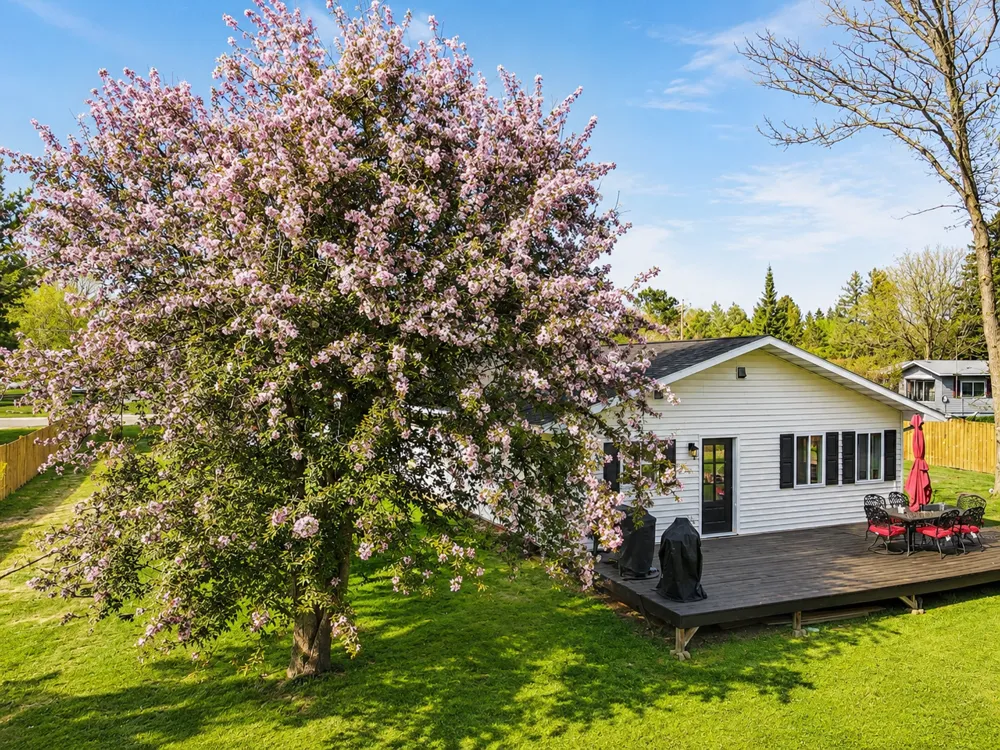 202 Ash Street Bigfork, MN 56628