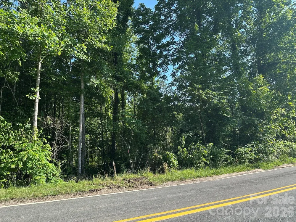 Off Drucilla Church Road Nebo, NC 28761