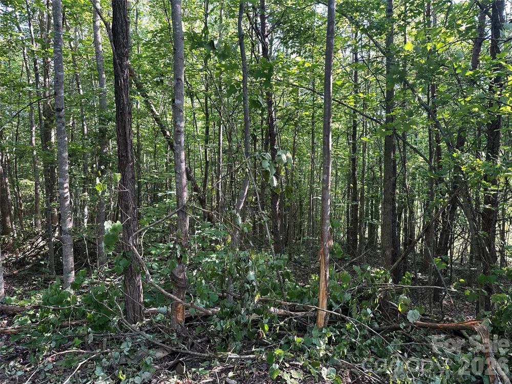 Off Drucilla Church Road Nebo, NC 28761