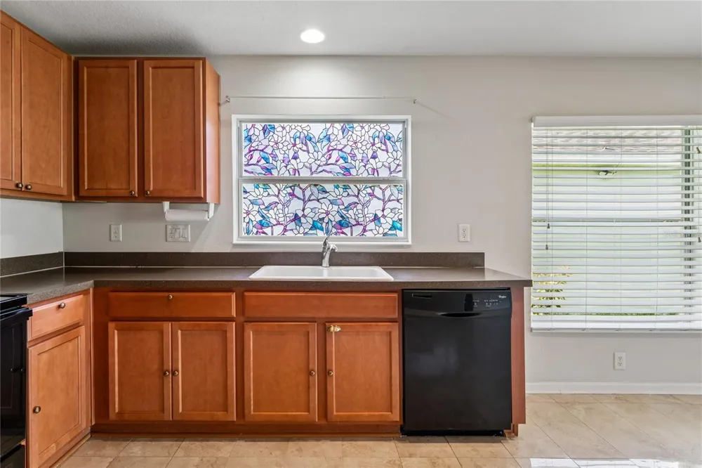 799 ALPINE THISTLE DRIVE Brooksville, FL 34604
