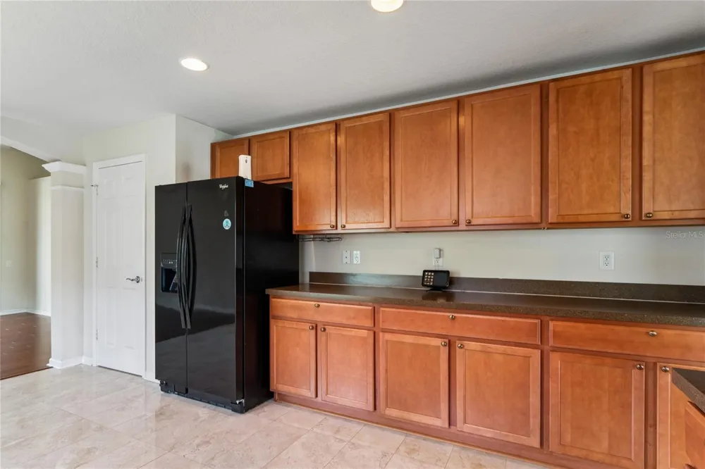 799 ALPINE THISTLE DRIVE Brooksville, FL 34604