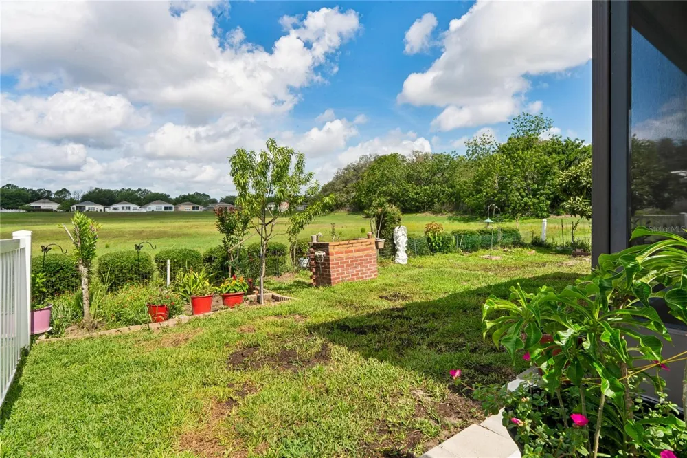 799 ALPINE THISTLE DRIVE Brooksville, FL 34604