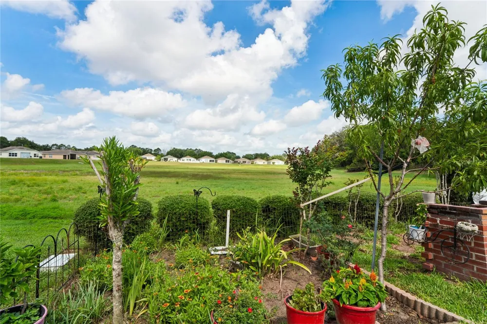 799 ALPINE THISTLE DRIVE Brooksville, FL 34604