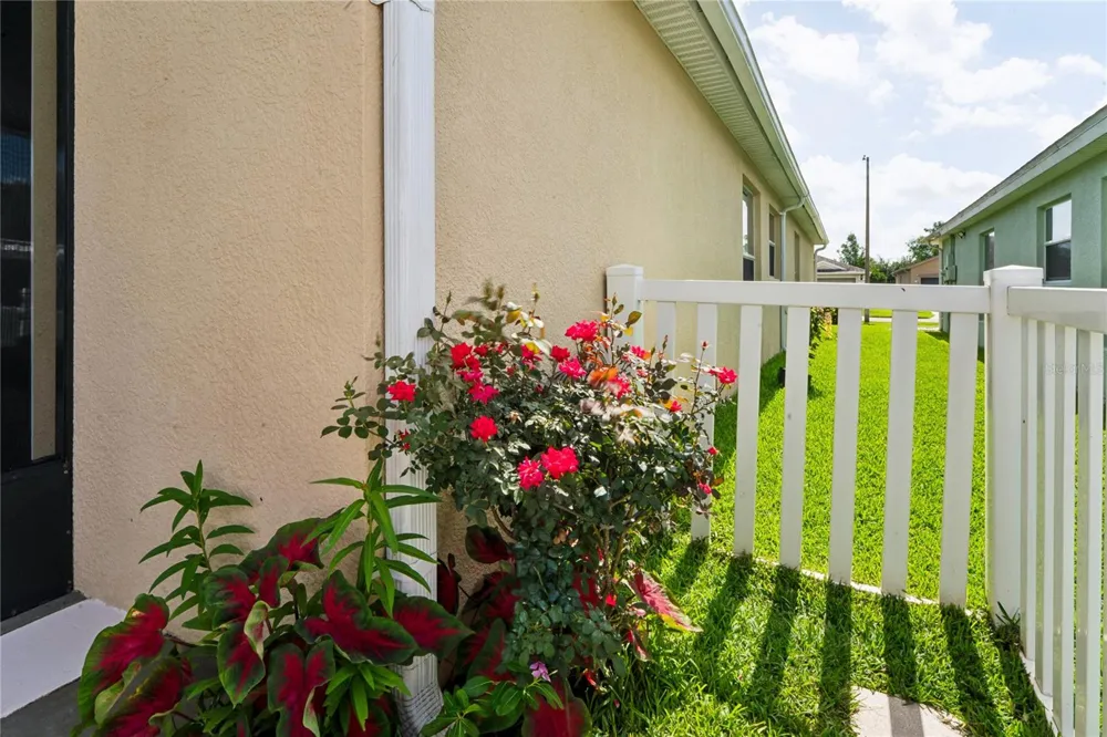799 ALPINE THISTLE DRIVE Brooksville, FL 34604