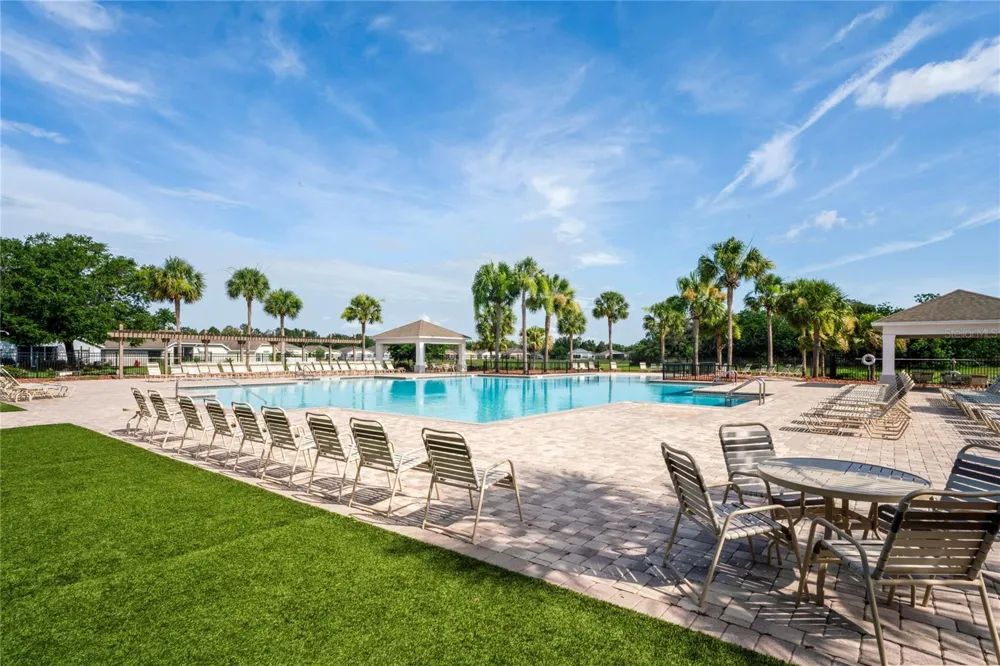 799 ALPINE THISTLE DRIVE Brooksville, FL 34604