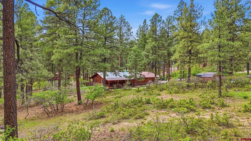 14 Pine Cone Drive Bayfield, CO 81122