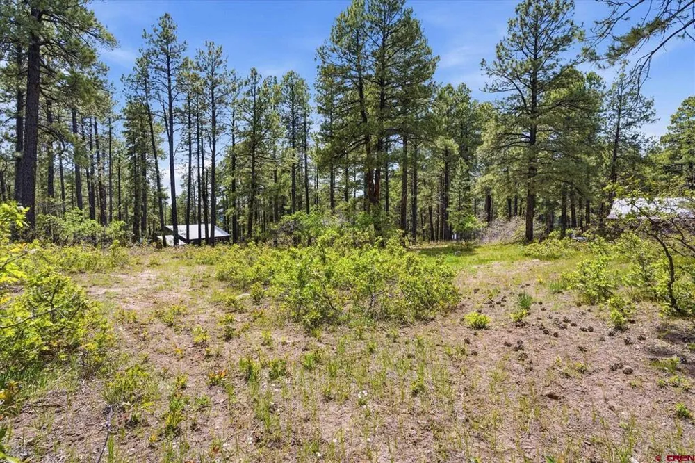 14 Pine Cone Drive Bayfield, CO 81122