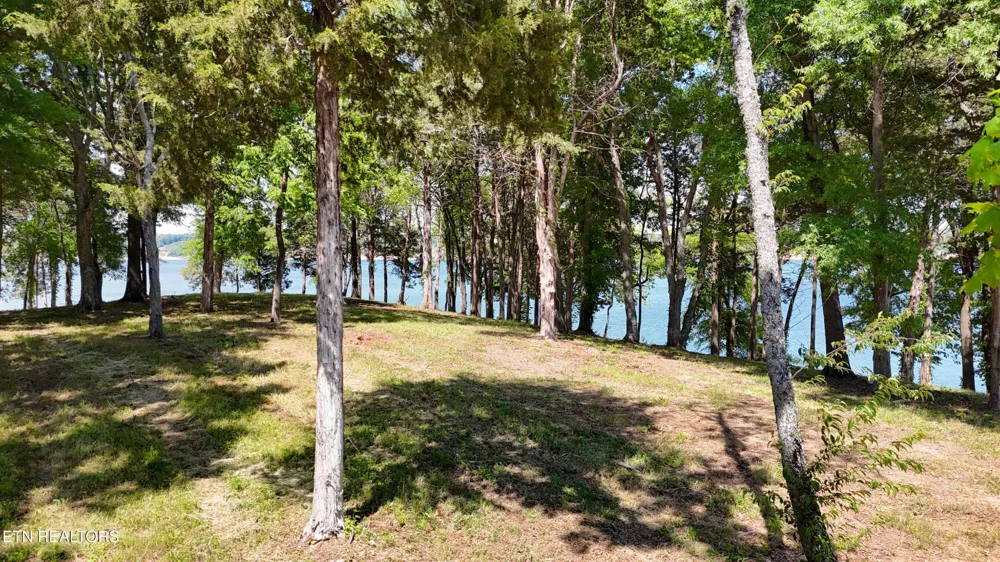 122 Ridge Point Tr Dandridge, TN 37725