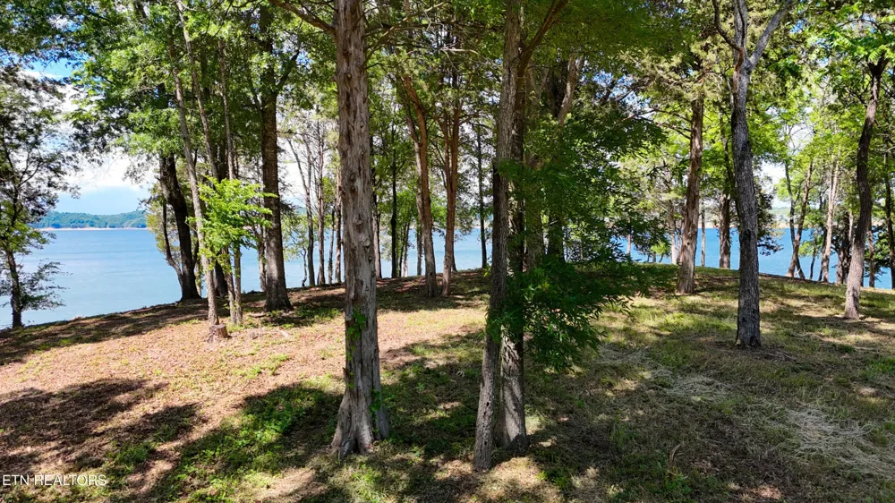 122 Ridge Point Tr Dandridge, TN 37725