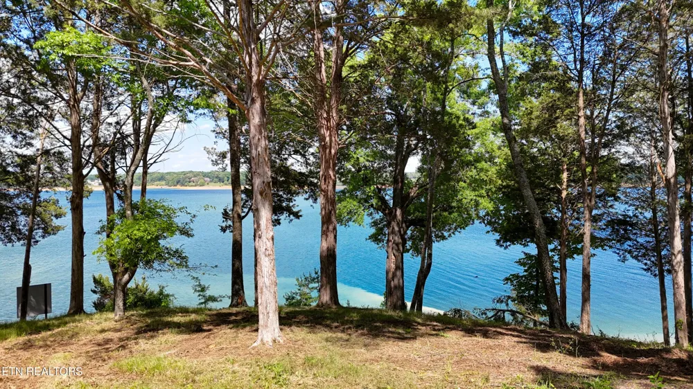 122 Ridge Point Tr Dandridge, TN 37725