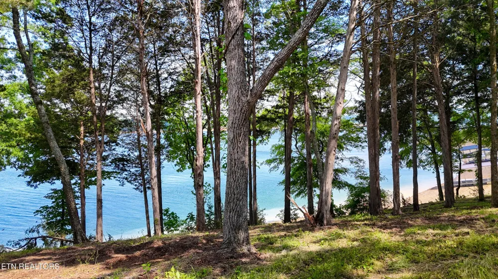 122 Ridge Point Tr Dandridge, TN 37725